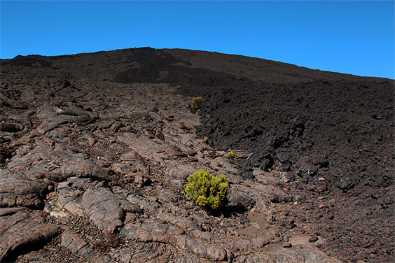 photo, lave cordée, volcan, île de la réunion